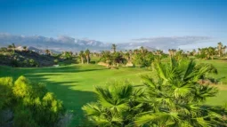 Il paradiso del golf: La beatitudine del tee time nei migliori golf club di Tenerife