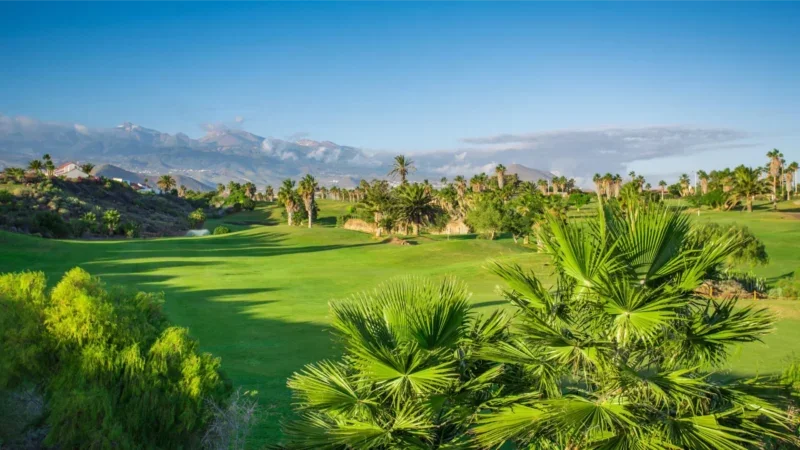 Il paradiso del golf: La beatitudine del tee time nei migliori golf club di Tenerife