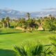 Il paradiso del golf: La beatitudine del tee time nei migliori golf club di Tenerife
