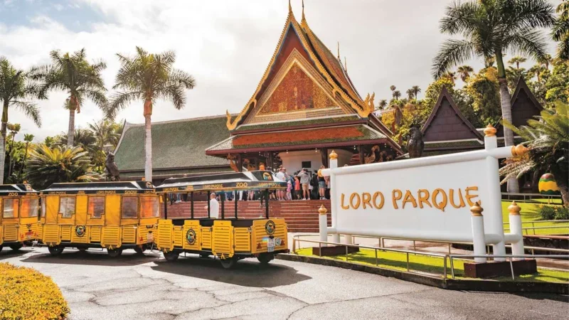 Loro Parque Tenerife – Scopri il cuore della meraviglia naturale dell’isola
