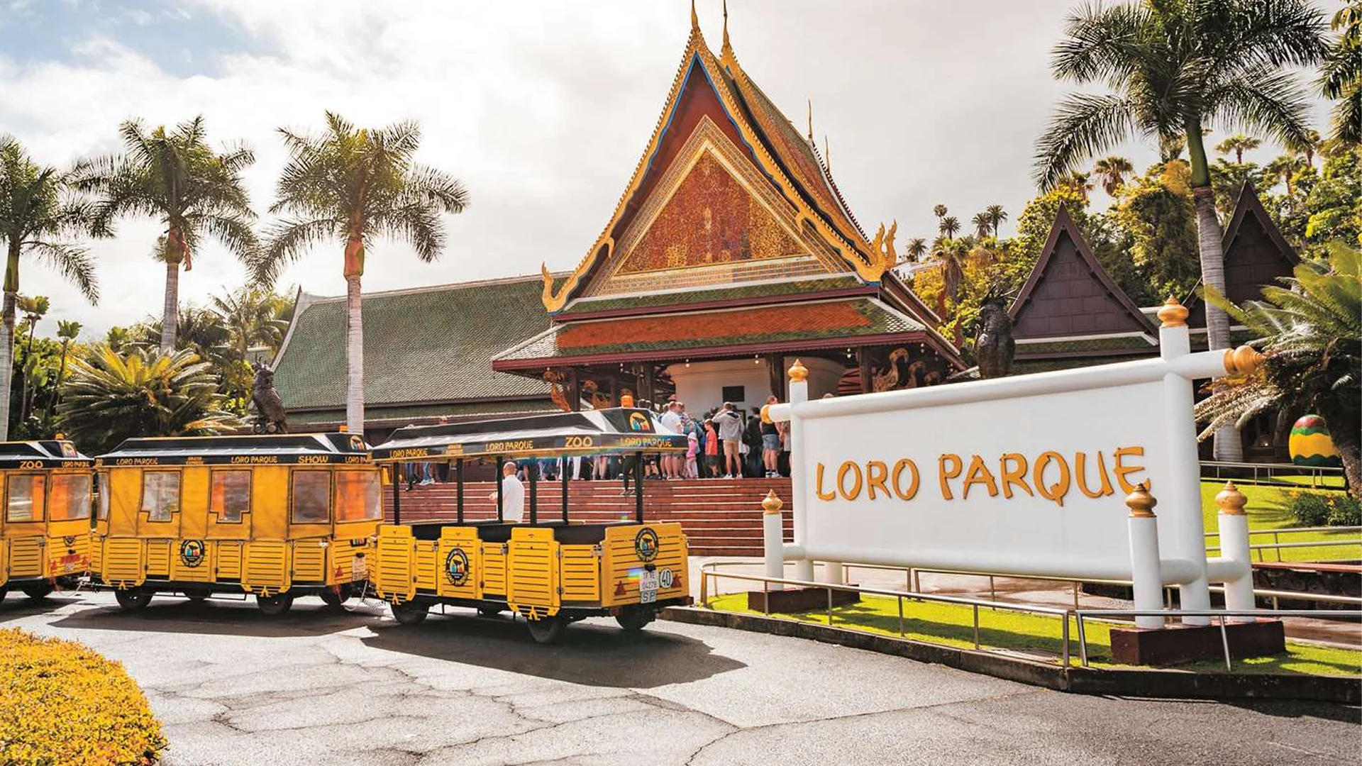 Loro Parque Tenerife – Scopri il cuore della meraviglia naturale dell’isola
