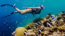 Nuotare con la corrente: Un'immersione profonda nei luoghi di snorkeling di Tenerife