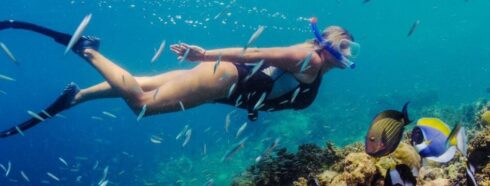 Nuotare con la corrente: Un'immersione profonda nei luoghi di snorkeling di Tenerife