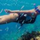 Nuotare con la corrente: Un'immersione profonda nei luoghi di snorkeling di Tenerife