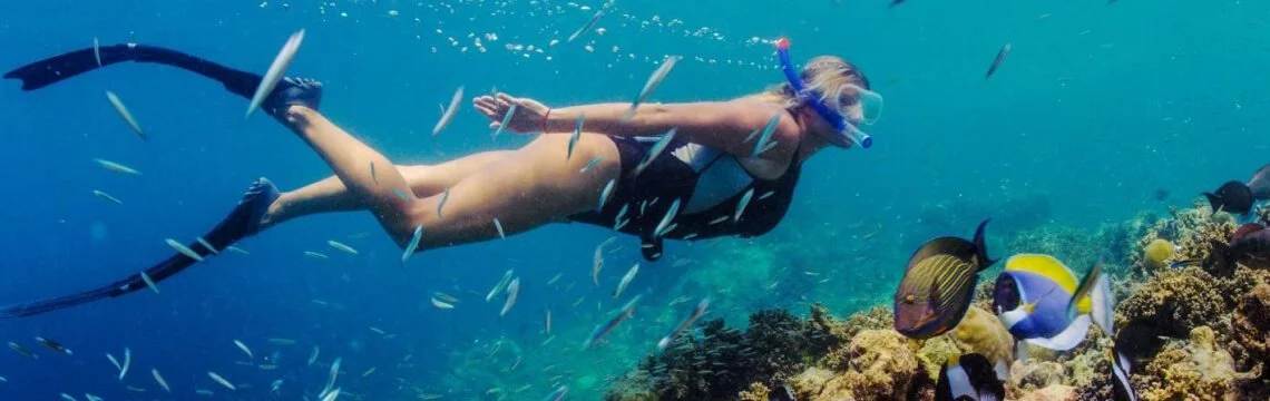 Nuotare con la corrente: Un'immersione profonda nei luoghi di snorkeling di Tenerife